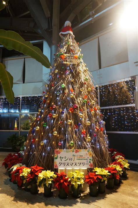 水 種 植物|【植物×イルミネーション】新潟市秋葉区「新潟県立植物園 クリ。